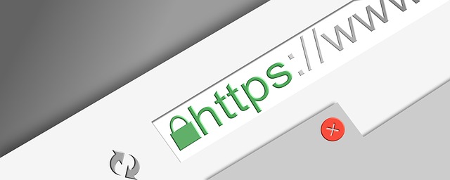 Screenshot showing the URL bar in a browser that has https in the URL